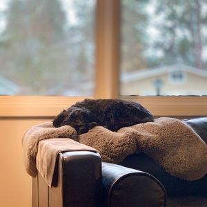 Meet your Posher, Hazelnut